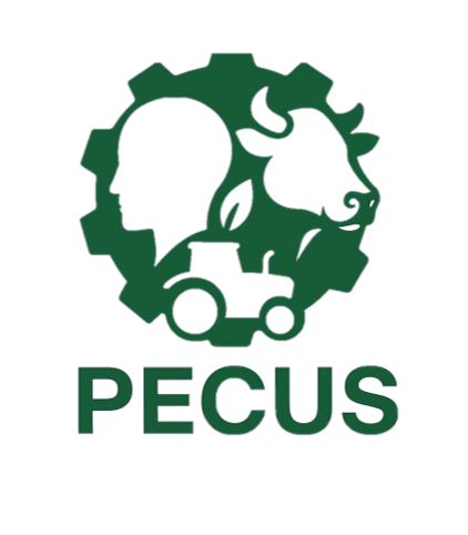 Pecus Logo